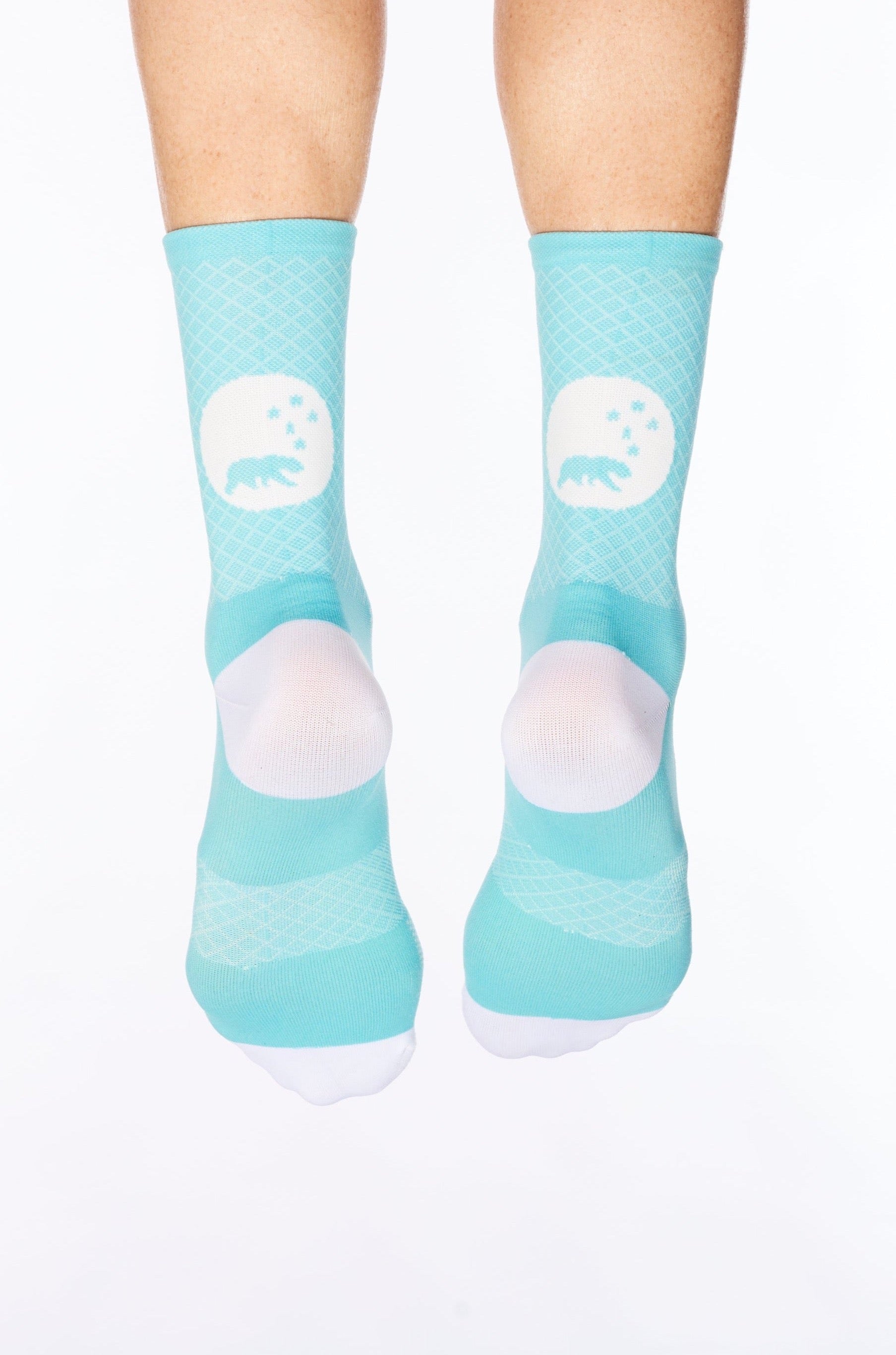 Flagship sock - turquoise