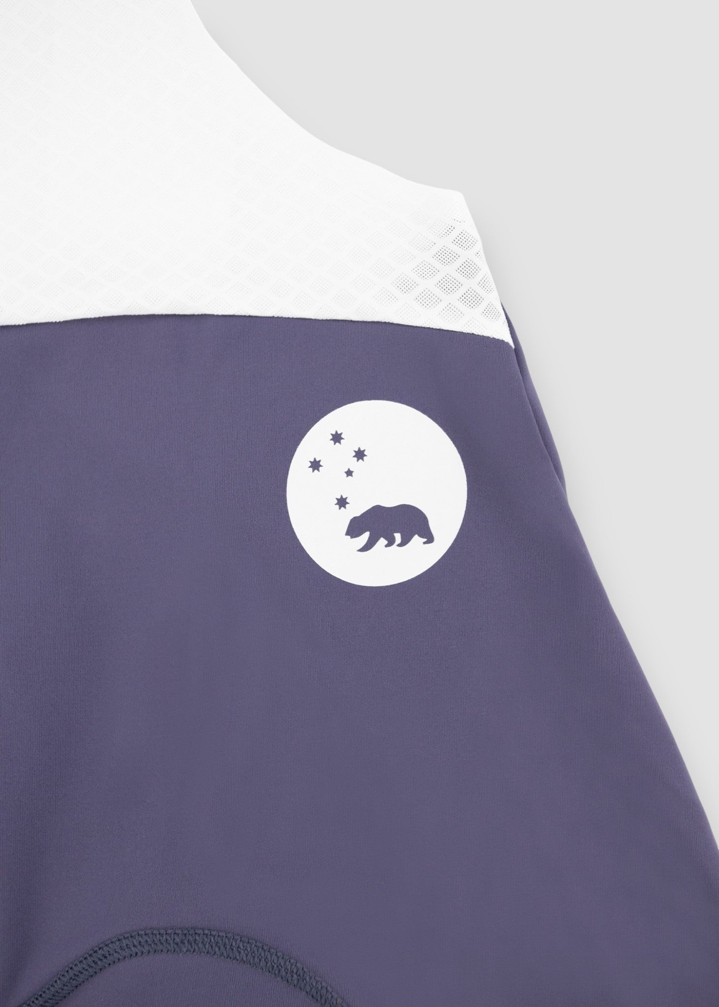 Men's Velocity 3.0 Cycling Bib Shorts - Purple Haze